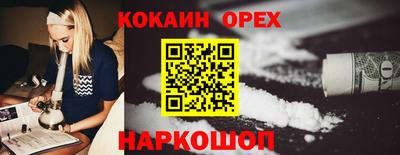 гашик Дубна