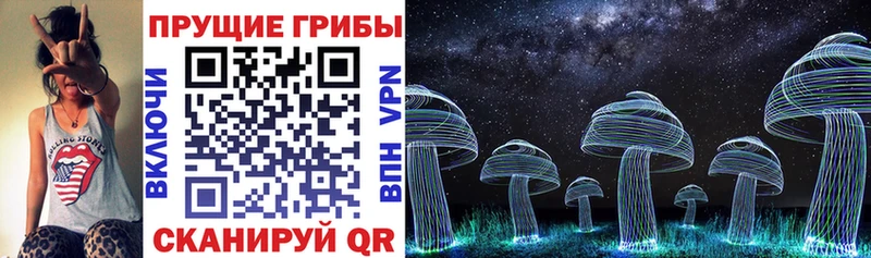блэк спрут tor  купить наркоту  Краснотурьинск  Псилоцибиновые грибы Psilocybine cubensis 