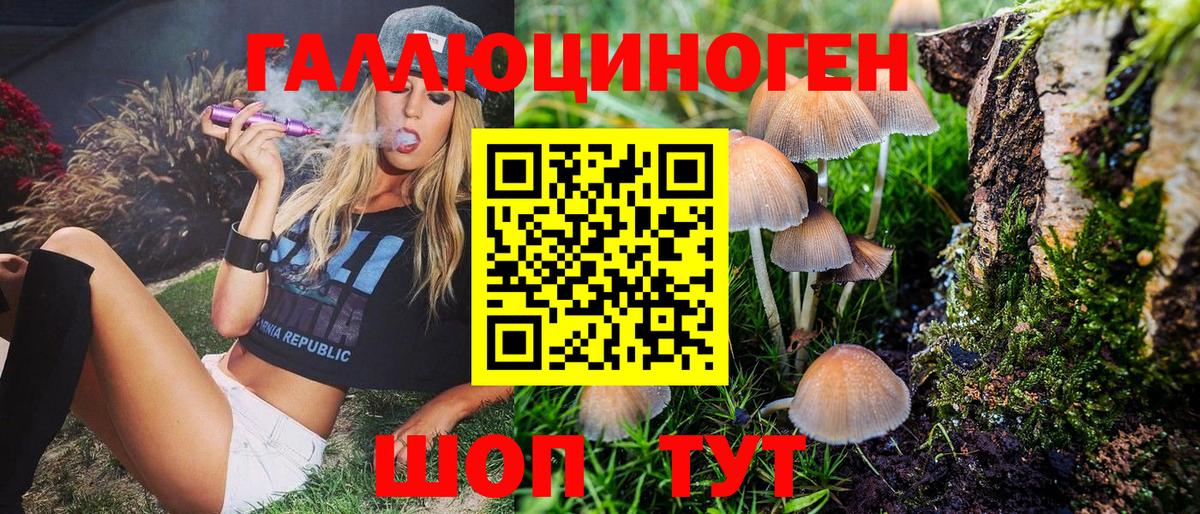 Псилоцибиновые грибы Psilocybine cubensis Краснотурьинск