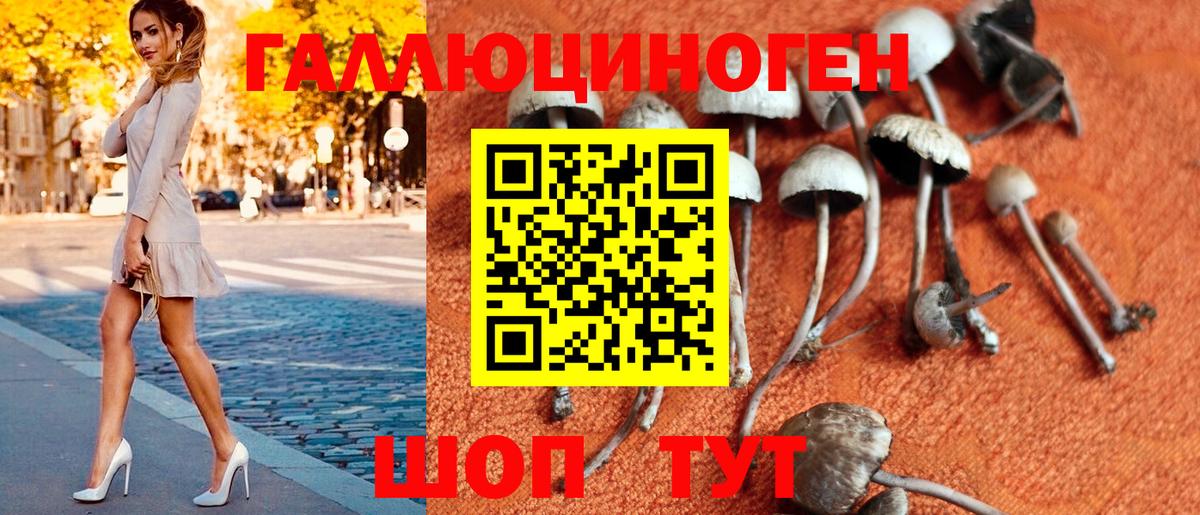 Псилоцибиновые грибы Cubensis  Галлюциногенные грибы Psilocybe  Вход с VPN  Краснотурьинск 